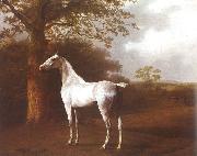Jacques-Laurent Agasse White Horse in Pasture France oil painting artist